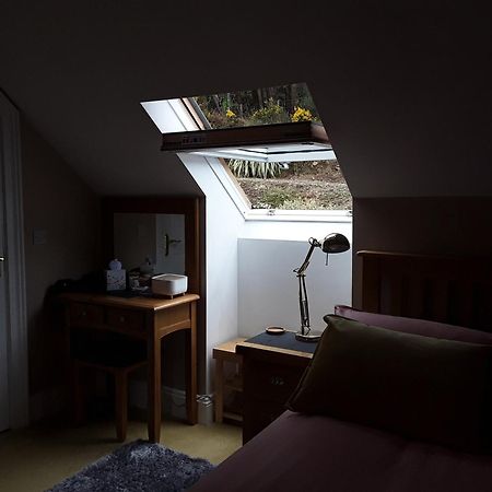 Forest View Woodland Lodge Ballard Exteriör bild