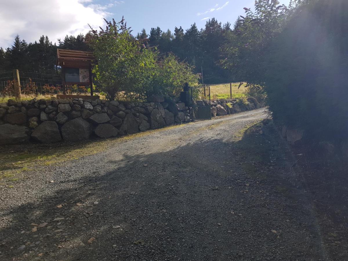Forest View Woodland Lodge Ballard Exteriör bild