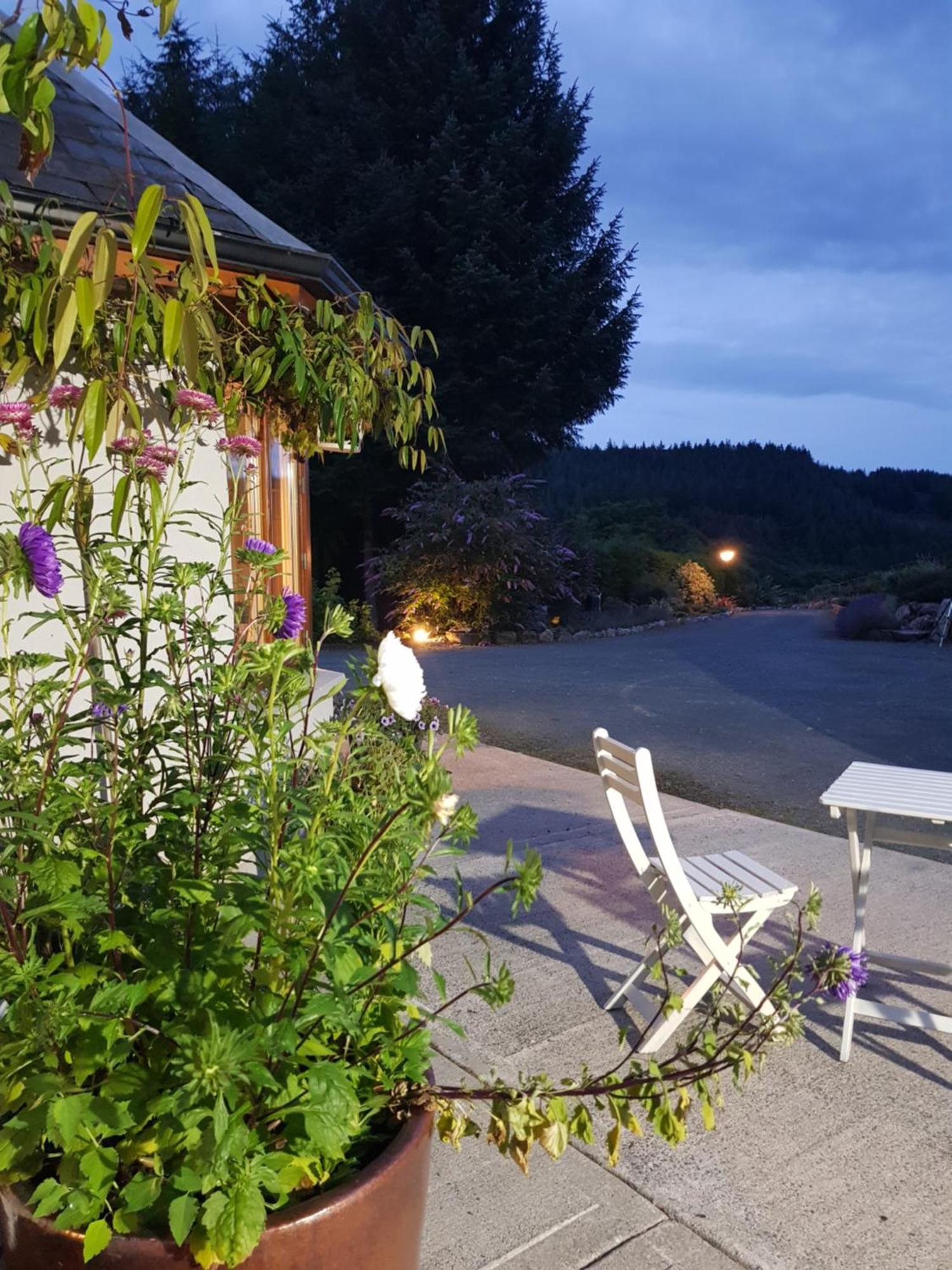 Forest View Woodland Lodge Ballard Exteriör bild
